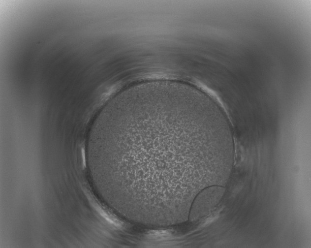 X0000062630061200512231025