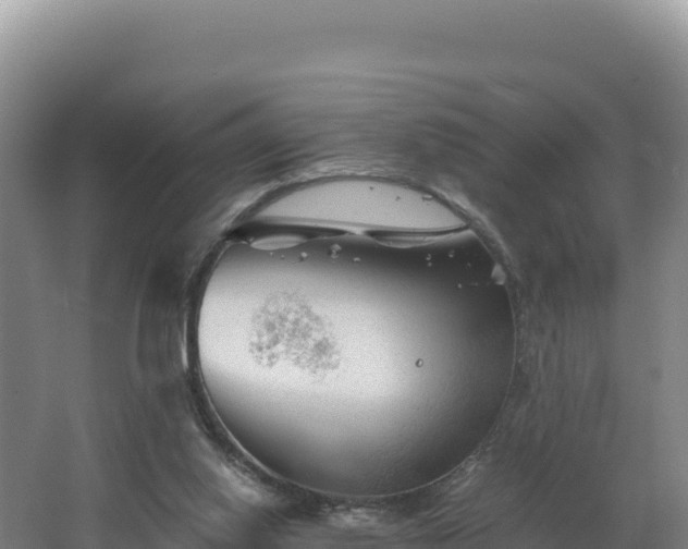 X0000062630062200512231025