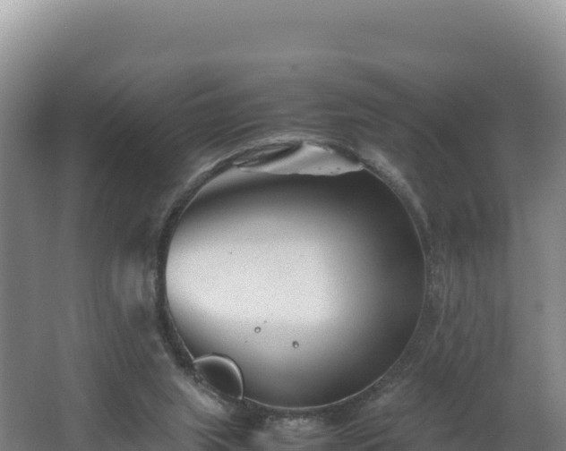 X0000062630063200512231025