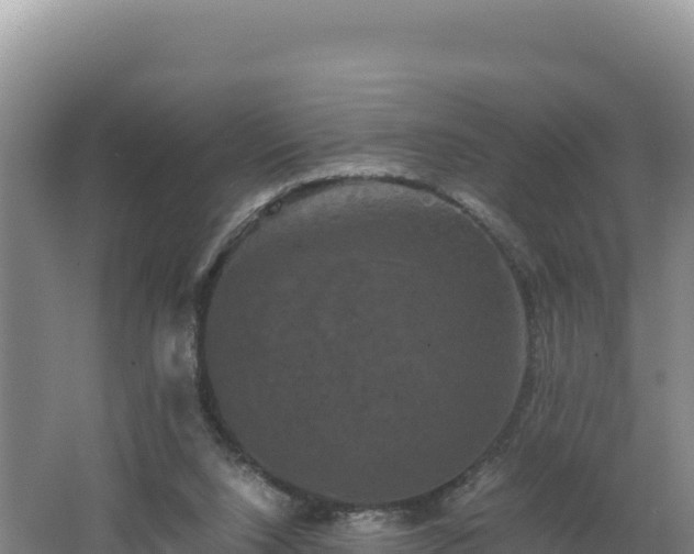 X0000062630064200512231025