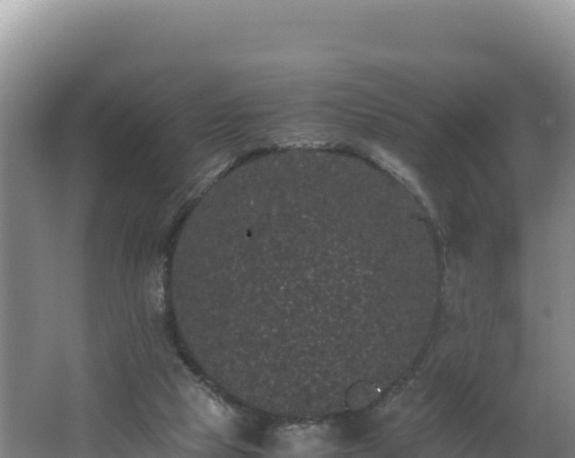 X0000062630065200512231025