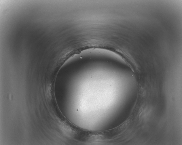 X0000062630066200512231025