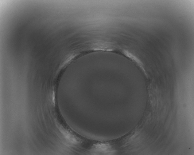 X0000062630067200512231025