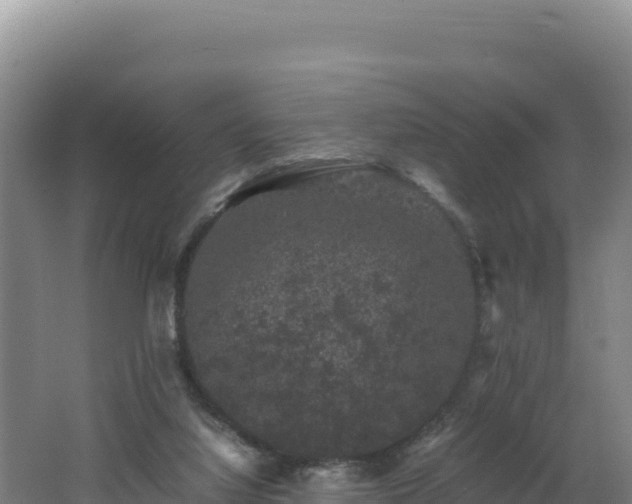 X0000062630068200512231025