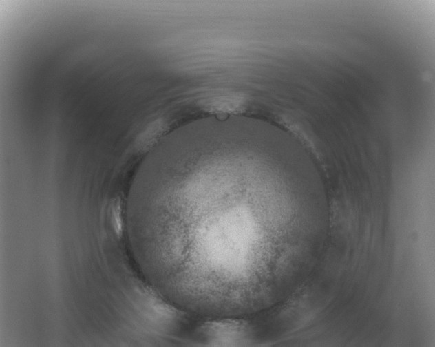 X0000062630069200512231025