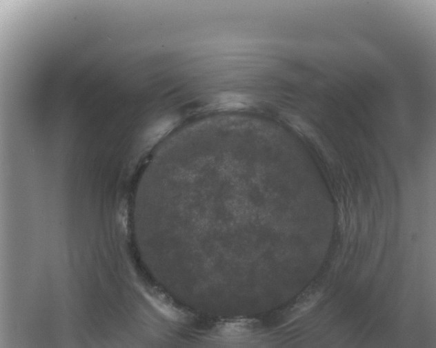 X0000062630072200512231025