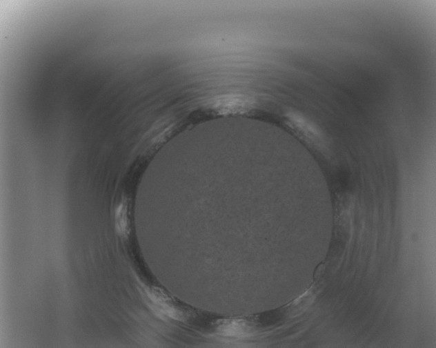 X0000062630074200512231025