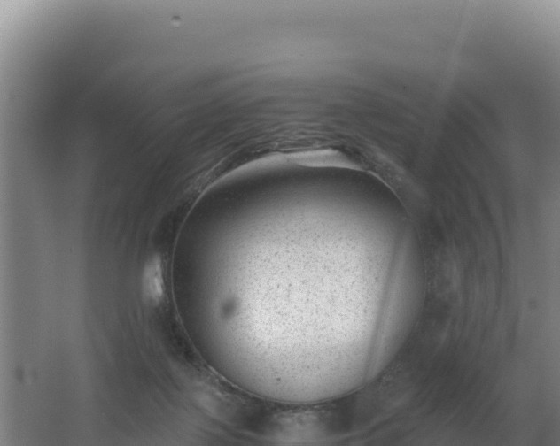 X0000062630075200512231025