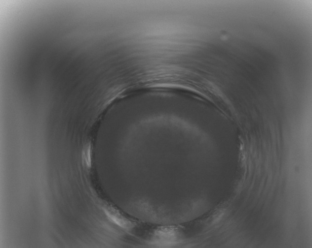 X0000062630076200512231025