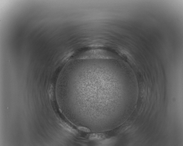 X0000062630077200512231025