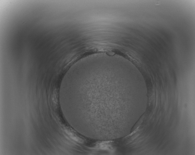 X0000062630078200512231025