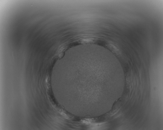 X0000062630079200512231025