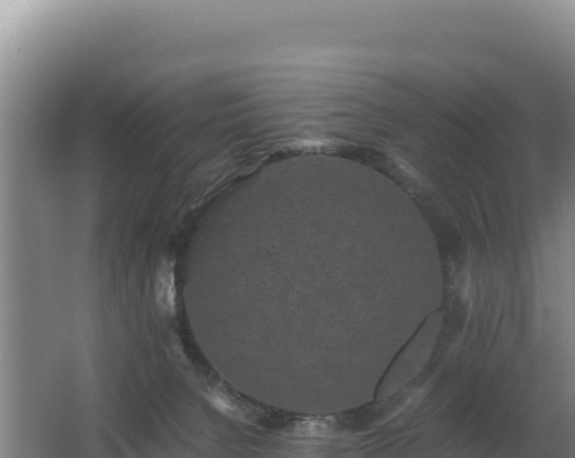 X0000062630080200512231025