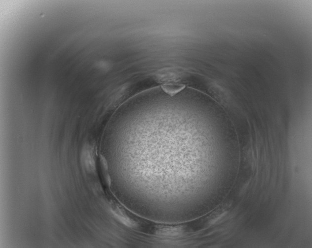 X0000062630081200512231025