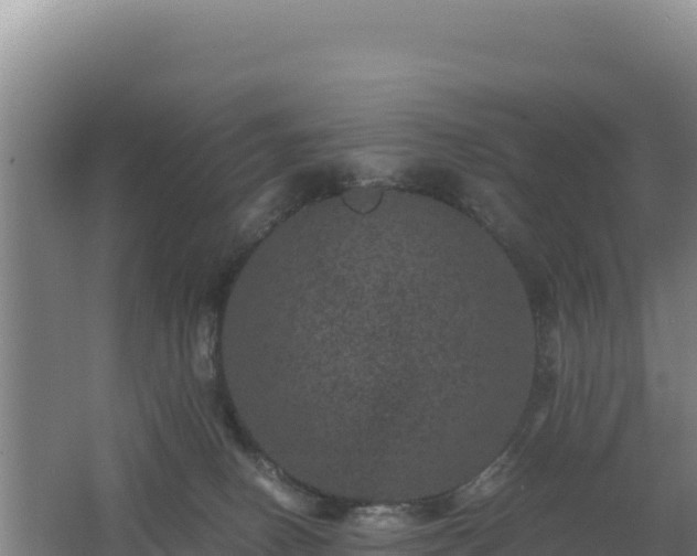 X0000062630082200512231025