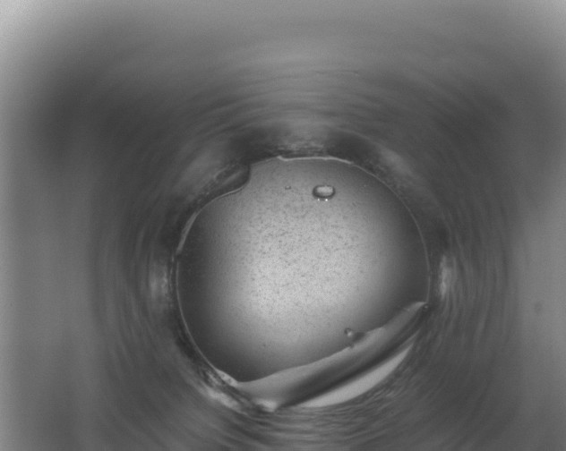 X0000062630084200512231025