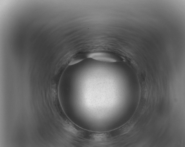 X0000062630085200512231025