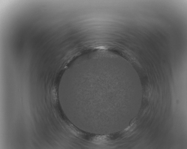 X0000062630086200512231025