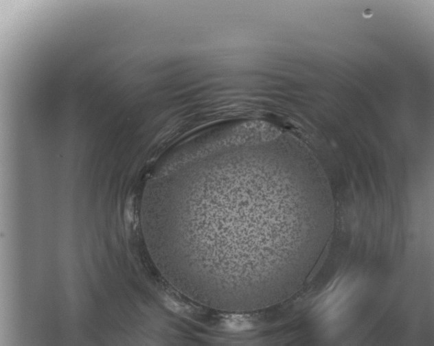 X0000062630091200512231025