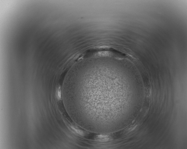 X0000062630095200512231025