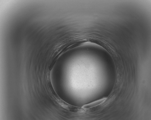 X0000062630096200512231025