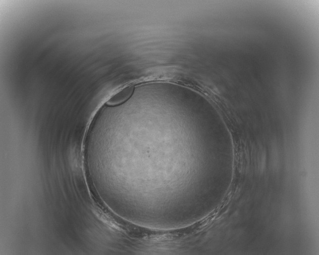 X0000062630100200512231024