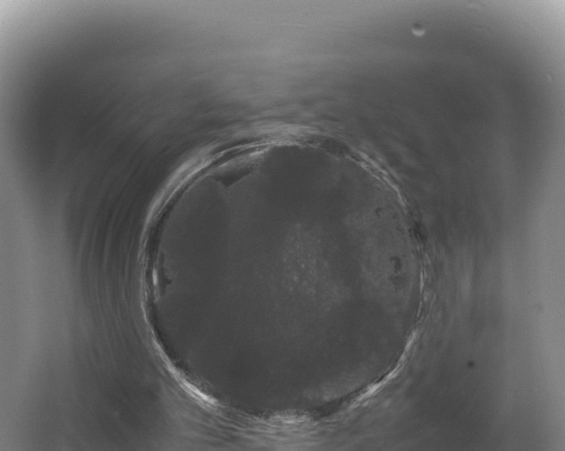 X0000062630101200512231024