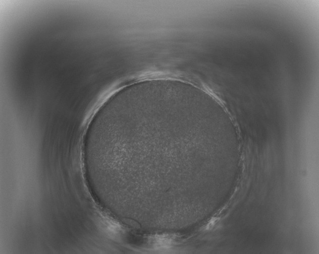 X0000062630103200512231024