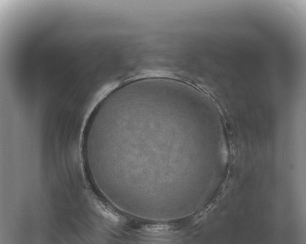 X0000062630104200512231024