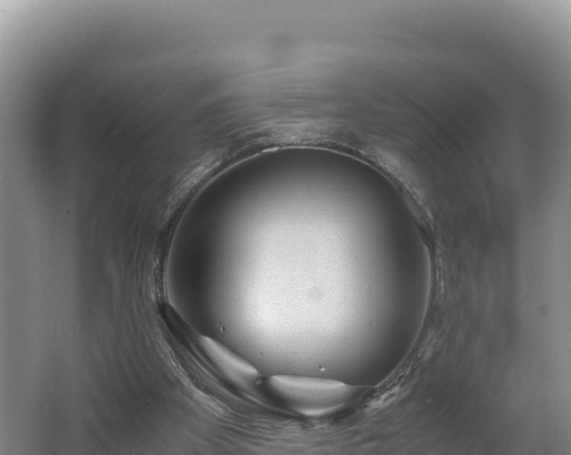 X0000062630105200512231024