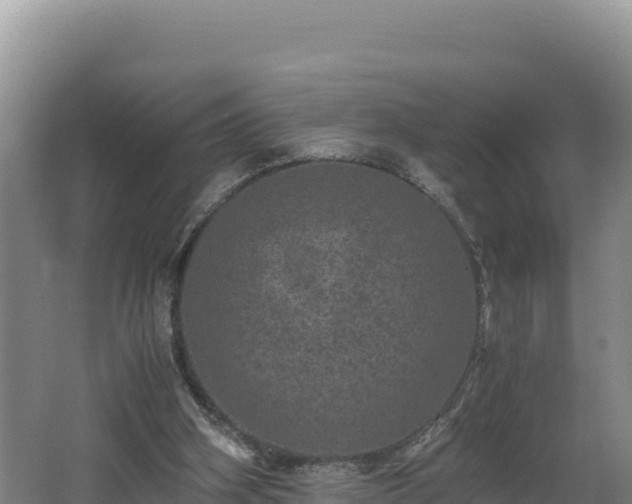 X0000062630106200512231024