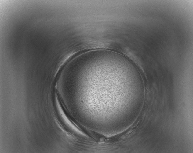 X0000062630107200512231024