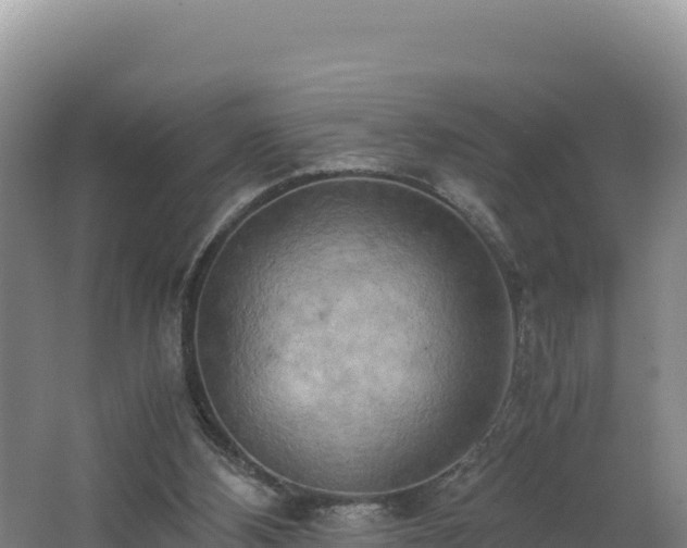 X0000062630108200512231024