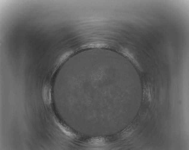 X0000062630110200512231024