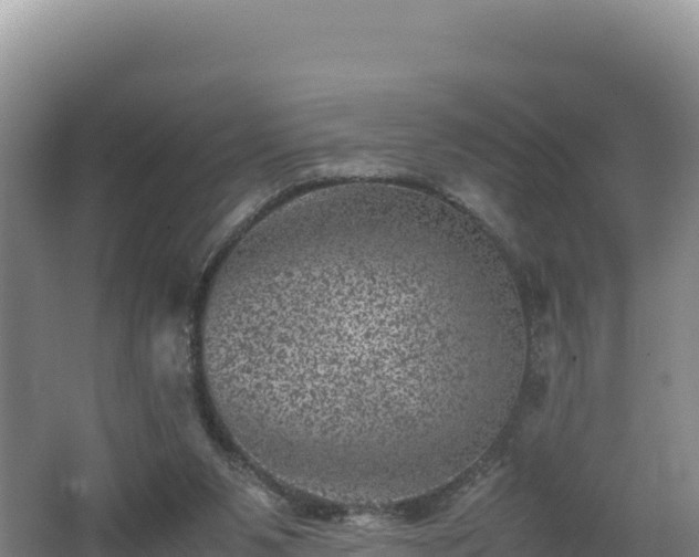 X0000062630111200512231024