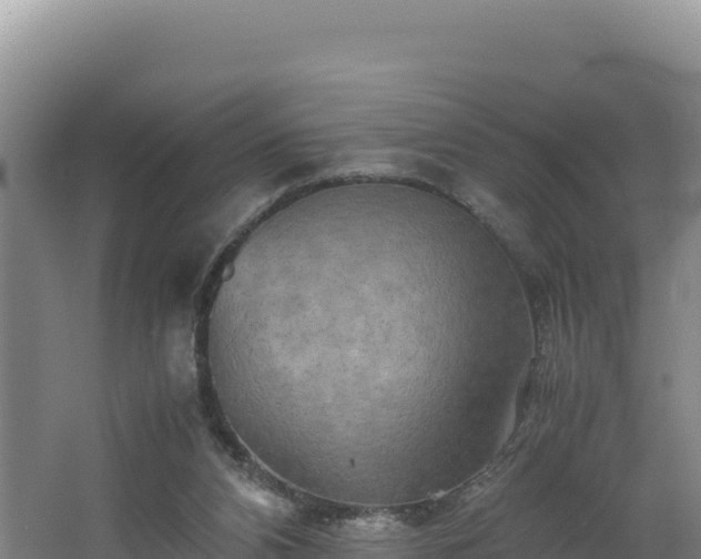 X0000062630112200512231024