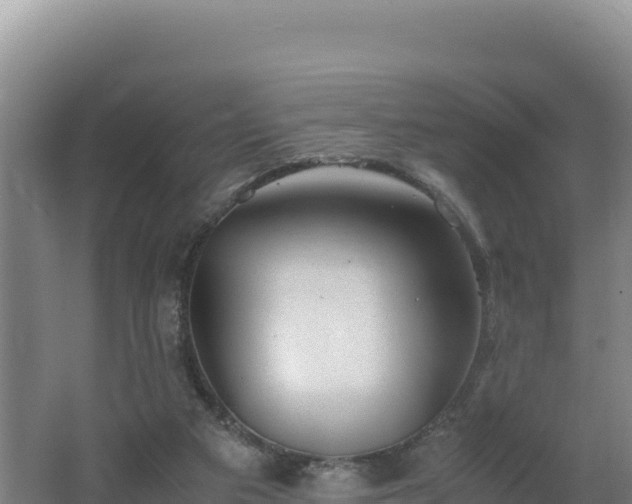 X0000062630113200512231024