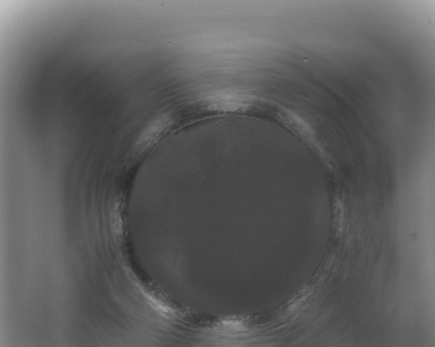 X0000062630114200512231024