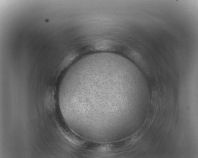 X0000062630116200512231024