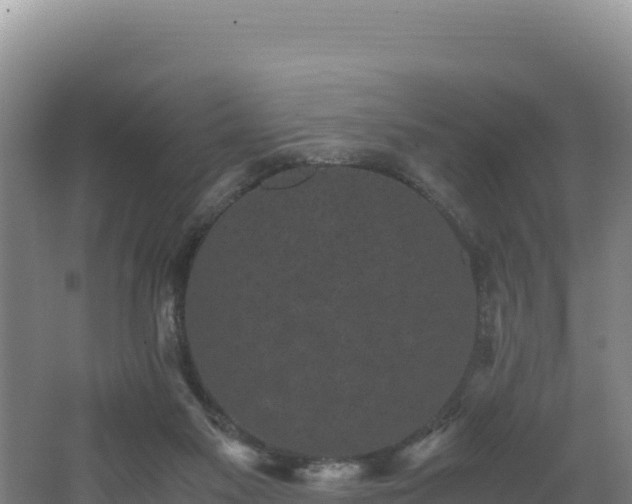 X0000062630117200512231024