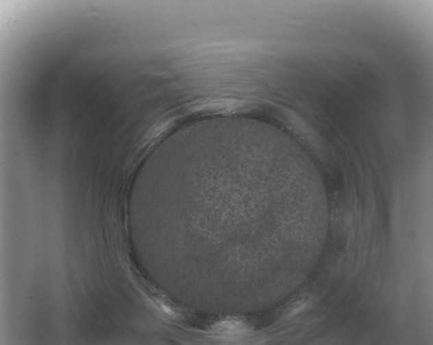 X0000062630119200512231024