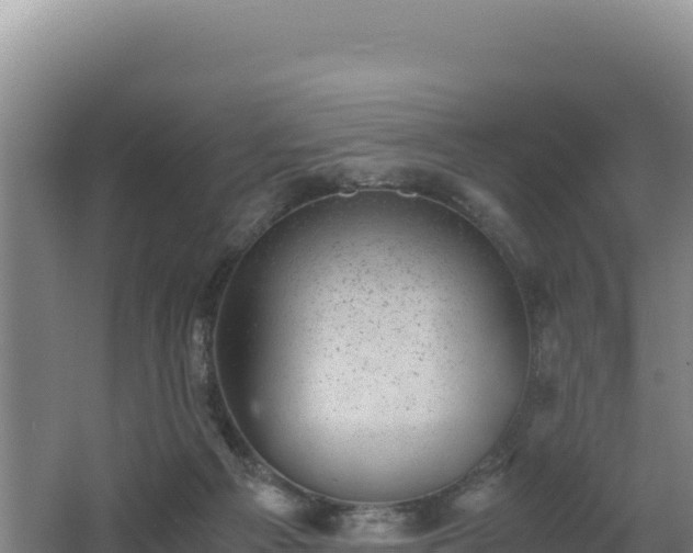 X0000062630121200512231024