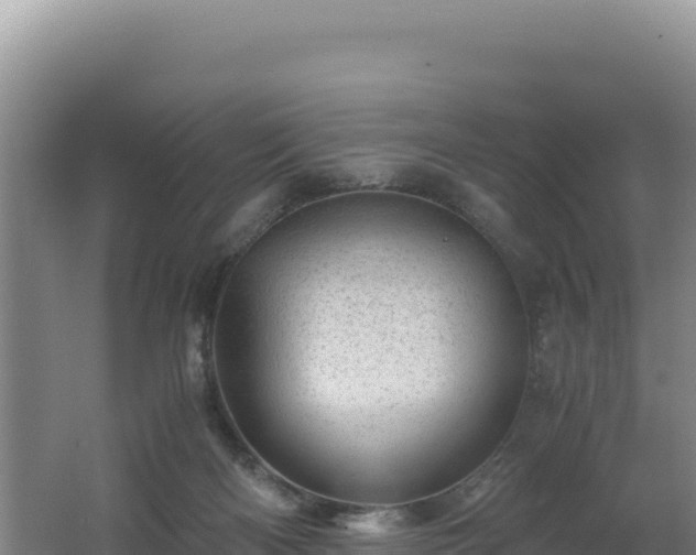 X0000062630122200512231024