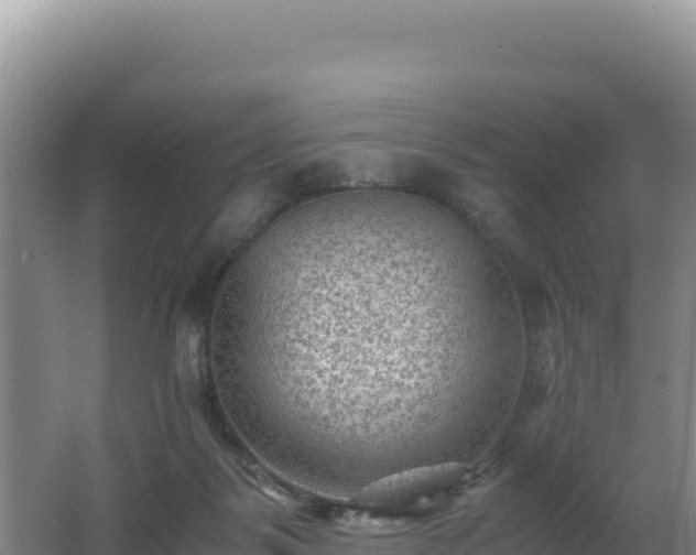 X0000062630123200512231024