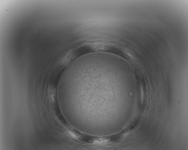 X0000062630125200512231024