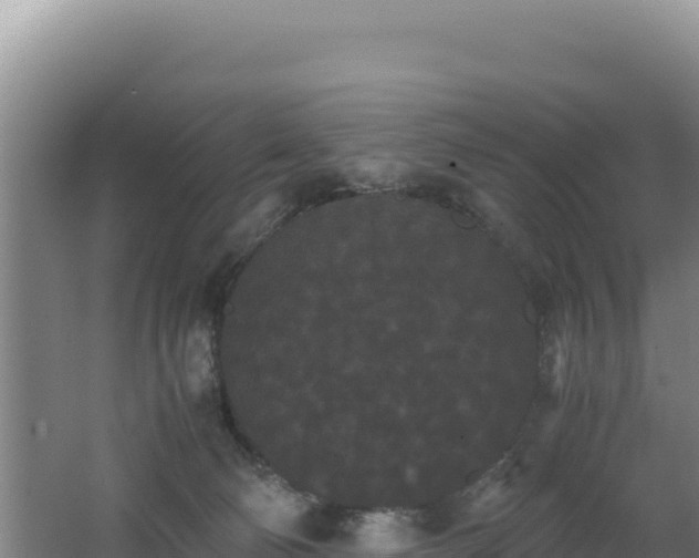 X0000062630130200512231024