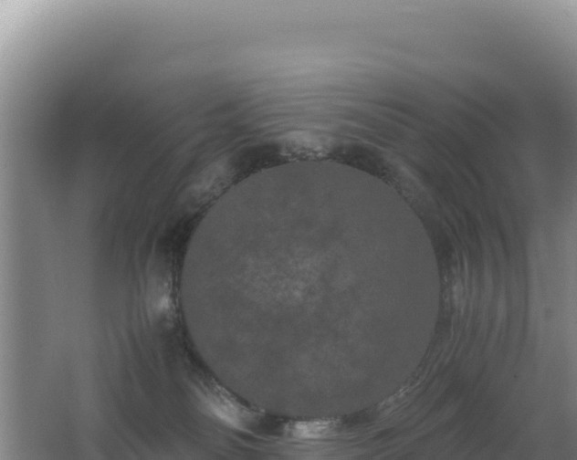 X0000062630134200512231024