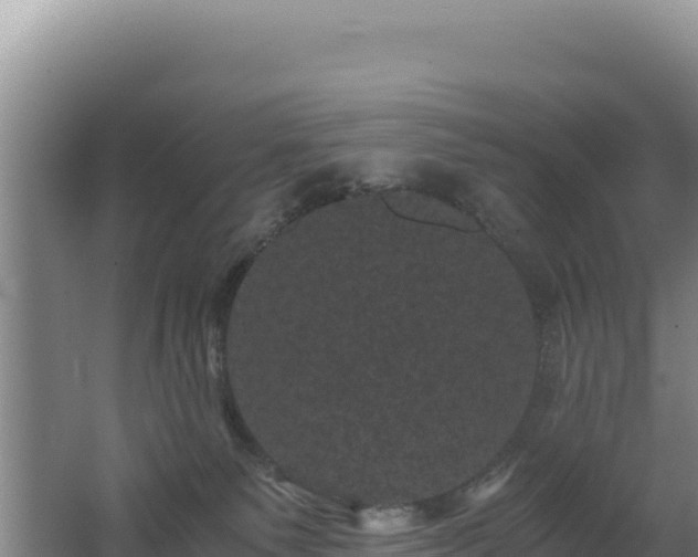 X0000062630135200512231024