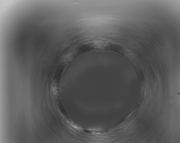 X0000062630137200512231024