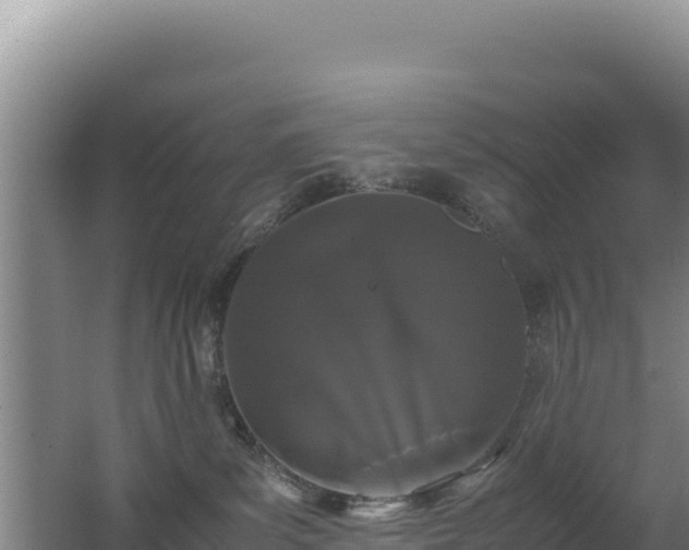 X0000062630139200512231024